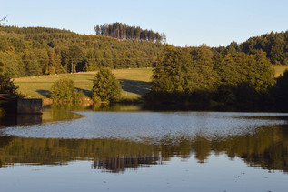 Bělovodské rybníky